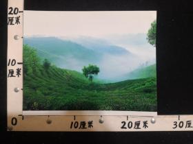 ZZP-10876雅安市摄影家协会主席袁明,摄影照片