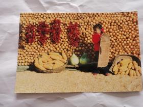 八十年代 农家女孩照片（16.7厘米✘11厘米）