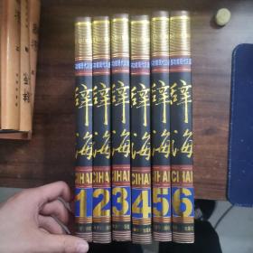 多功能現代漢語辭海1-6冊