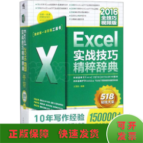 Excel 2016实战技巧精粹辞典 全技巧视频版