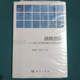 战略创新：来自君智战略咨询的实践