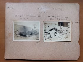 1934年 金陵大学西北考察团乔启明摄 西安老照片2张《晒烟叶》《剥玉米》 整体尺寸29x22厘米，品相好史料价值高！