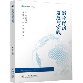 新华正版 数字经济发展与实践 陈小辉 9787569062366 四川大学出版社