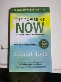 The Power of Now：A Guide to Spiritual Enlightenment