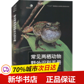 保正版！常见两栖动物野外识别手册9787568924252重庆大学出版社史静耸