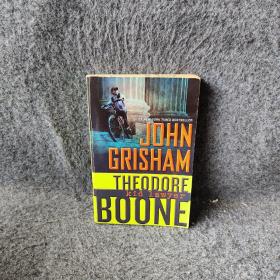 Theodore Boone #1: Kid Lawyer  西奥律师事务所1：不存在的证人