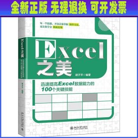 Excel之美:迅速提高Excel数据能力的100个关键技能