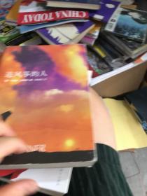 追风筝的人