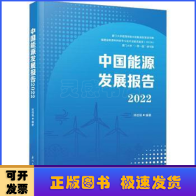 中国能源发展报告(2022)