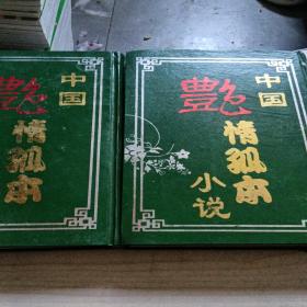 中国绝情孤本小说 4+5册