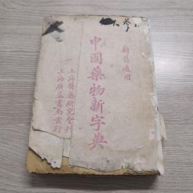 中国药物新字典