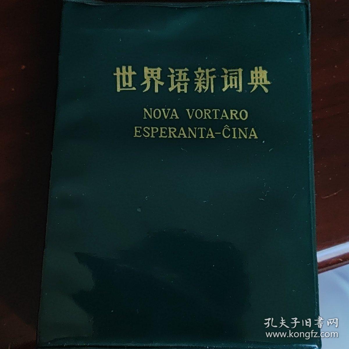 世界语新词典