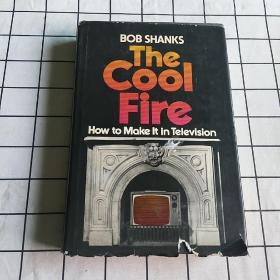 THE COOL FIRE HOW TO MAKE IT IN TELEVISION BY BOB SHANKS（鲍勃·尚克斯在电视节目中给观众带来的酷酷的火焰）