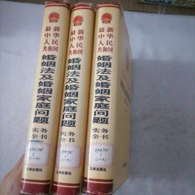 最新中华人民共和国婚姻法及婚姻家庭问题实务全书