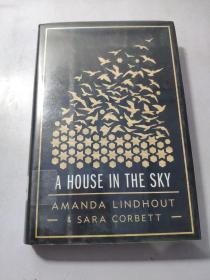 A House in the Sky：A Memoir