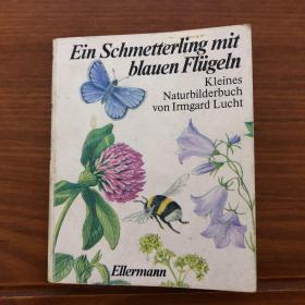 Ein Schmetterling mit  blauen Flügeln长着蓝色翅膀的蝴蝶 Kleines  Naturbilderbuch  von Irmgard LuchtIrmgard Lucht的小型自然绘本