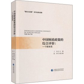 新华正版 中国财政政策的综合评价:一个新体系 丁怡 9787522307305 中国财政经济出版社