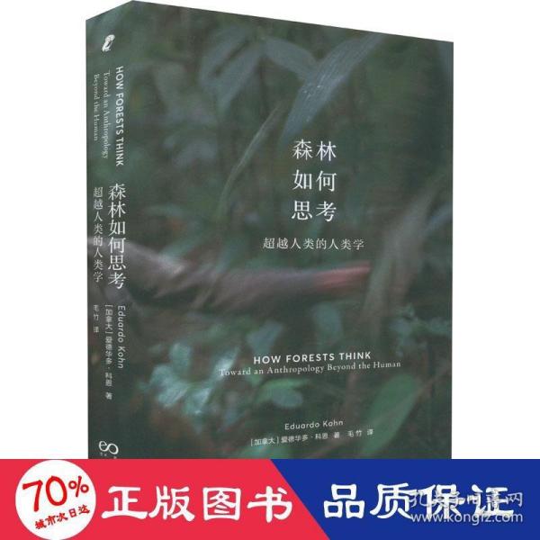 森林如何思考：超越人类的人类学