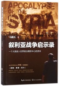 叙利亚战争启示录 9787535499400 马建光 长江文艺出版社