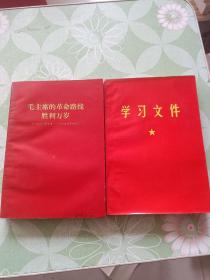 毛泽东(两册)三十二开
