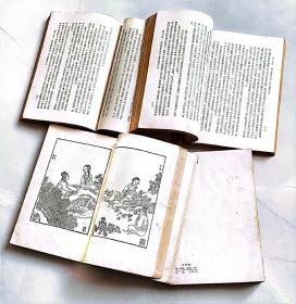 红楼梦 人民文学出版社红楼梦1963年2月第7次印刷 大量木刻红楼梦图咏