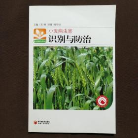 小麦病虫害识别与防治