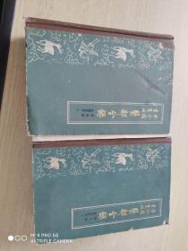 古今图书集成  医部全录    脏腑身形  上下   第四册  第五册