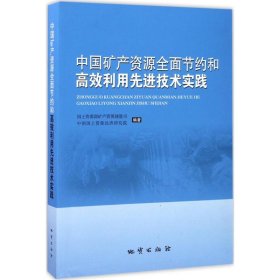 【正版书籍】中国矿产资源全面节约和高效利用先进技术实践