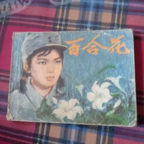 连环画 百合花