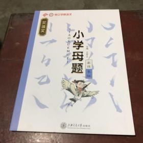 昂立学易语文 艾语文 小学母题 高段基础