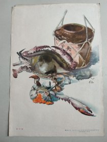 8开彩色画页：梭子蟹（张充仁作，1959年2印）