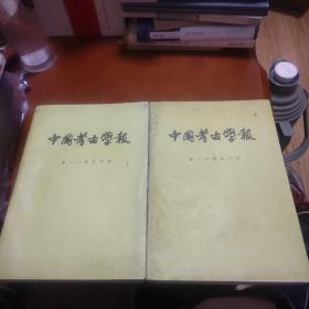 中国考古学报一田野考古报告（四册合售）