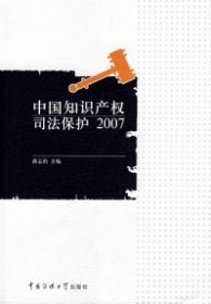 中国知识产权司法保护2007 【正版九新】