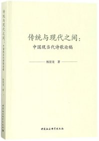 传统与现代之间--中国现当代诗歌论稿