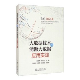 【正版新书】大数据技术能源大数据应用实践