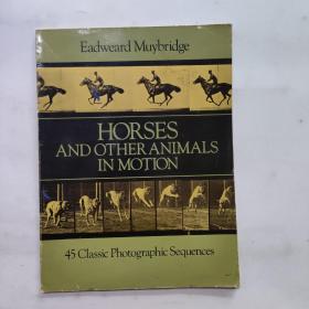 Horses and Other Animals in Motion：45 Classic Photographic Sequences