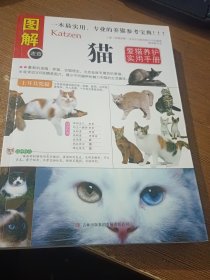 猫：爱猫养护实用手册