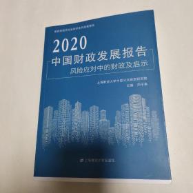 2020中国财政发展报告:风险应对中的财政及启示