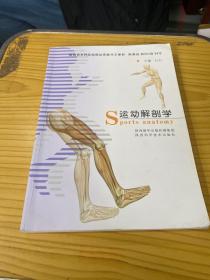 运动解剖学