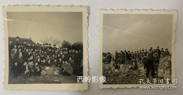 【老照片】約1950年代軍人農民一起勞動 — 軍幫民，民擁軍，軍民一家親～