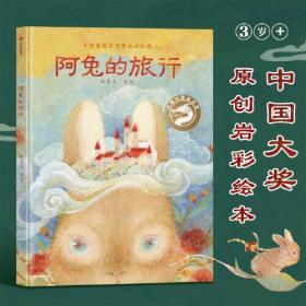 全新正版 阿兔的旅行：寻找瓷器不可思议的秘密 杨慧文 9787521737554 中信出版社