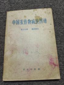 中国农作物病虫图谱 第七分册 桑树病虫