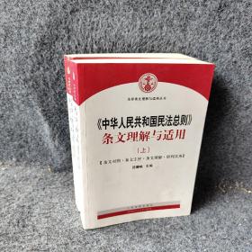 中华人民共和国民法总则 条文理解与适用（套装上下册）