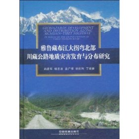 （雅鲁藏布江大拐弯北部）川藏公路地质灾害发育与分布研究