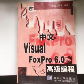 中文Visual FoxPro 6.0高级编程