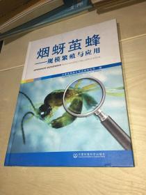 烟蚜茧蜂：规模繁殖与应用
