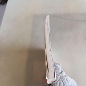 胡绳诗存（瑕疵如图）