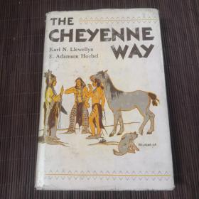 The cheyenne way
