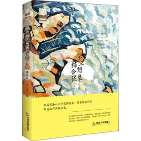 第三想象综合征张嵩山中国书籍出版社