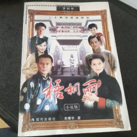 梧桐雨:二十集电视连续剧小说版